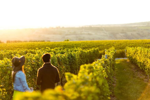 Margaret River Private Tour - Phillip Island Accommodation 2