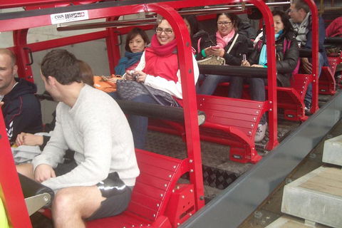 Blue Mountains Private Tour With Wildlife Park And River Cruise - Phillip Island Accommodation 0