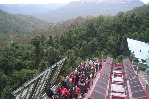 Blue Mountains Private Tour With Wildlife Park And River Cruise - Phillip Island Accommodation 1