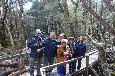 Blue Mountains Private Tour With Wildlife Park And River Cruise - Phillip Island Accommodation 2