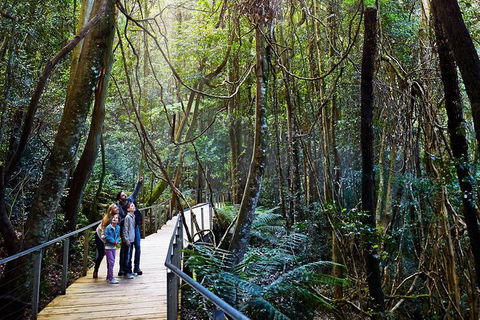 Blue Mountains Private Tour With Wildlife Park And River Cruise - Phillip Island Accommodation 4