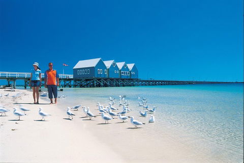 Margaret River And Geographe Bay Region Day Trip From Perth - Phillip Island Accommodation 0