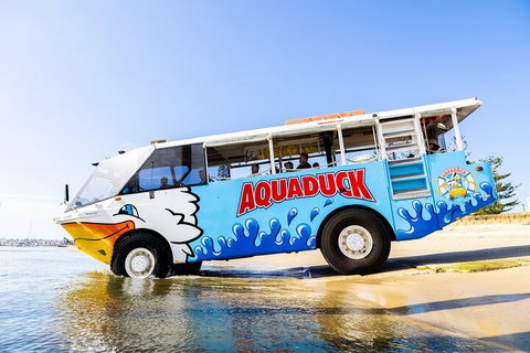 Aquaduck & Your Choice Of Gold Coast Rainforest Tour - Phillip Island Accommodation 3