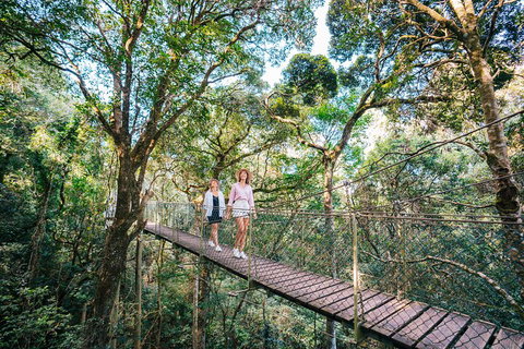 Aquaduck & Your Choice Of Gold Coast Rainforest Tour - Phillip Island Accommodation 4