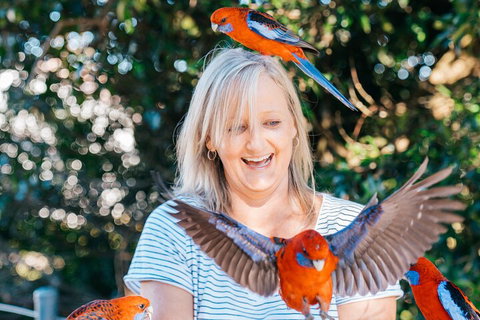 Aquaduck & Your Choice Of Gold Coast Rainforest Tour - Phillip Island Accommodation 5