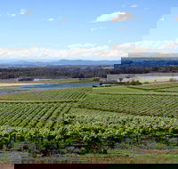 Private Hunter Valley Wine-Tasting Day Tour from Sydney