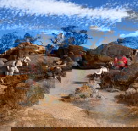 The Big Wave Rock Private Day Tour - Phillip Island Accommodation