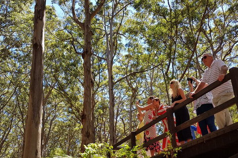 The All About Margaret River Tour: Wine, Coffee, Lunch And Forest - Phillip Island Accommodation 3