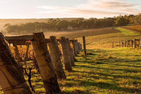 The All About Margaret River Tour: Wine, Coffee, Lunch And Forest - Phillip Island Accommodation 5