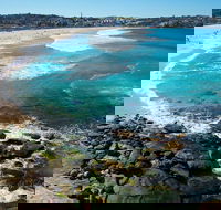 Private Sydney Foreshores and Beaches SUV Tour