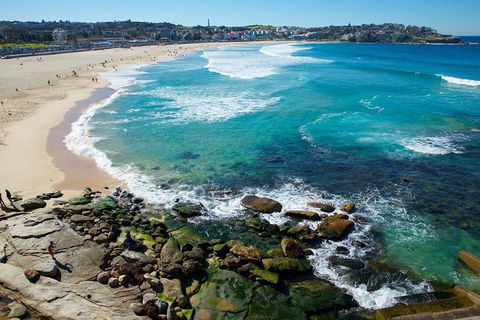 Private Sydney Foreshores And Beaches SUV Tour - Phillip Island Accommodation 0