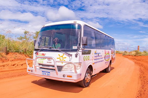 Malcolm Douglas Crocodile Park Tour Including Transportation - Phillip Island Accommodation 3