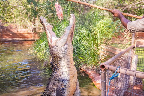 Malcolm Douglas Crocodile Park Tour Including Transportation - Phillip Island Accommodation 5