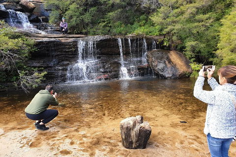 Blue Mountains Small Group Tour Enjoy A Sleep In, Waterfalls, Sunset & Dinner - Phillip Island Accommodation 2