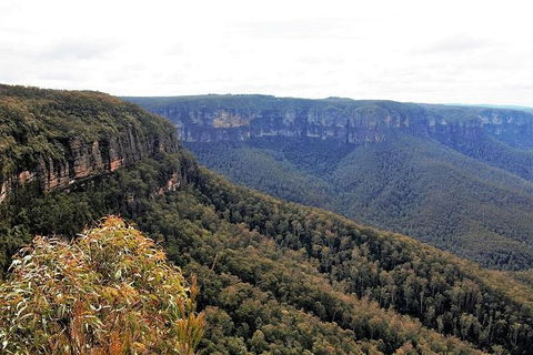 Blue Mountains - Phillip Island Accommodation 3