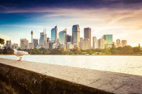 Private Sydney City And Bondi Beach Half Day Tour - Phillip Island Accommodation 2
