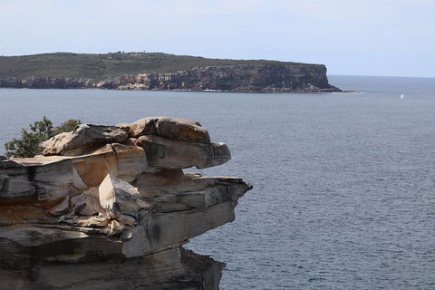 Private Sydney City And Bondi Beach Half Day Tour - Phillip Island Accommodation 3