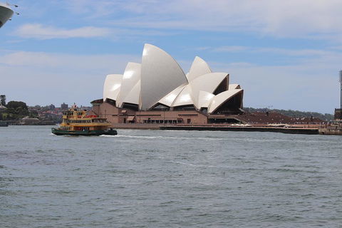 Private Sydney City And Bondi Beach Half Day Tour - Phillip Island Accommodation 5
