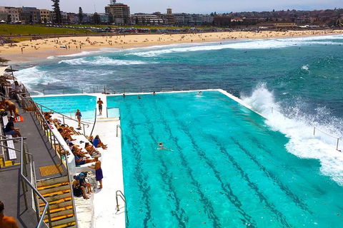 Private Sydney Half Day Tour Including Sydney Opera House And Bondi Beach - Phillip Island Accommodation 1