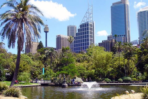Private Sydney Half Day Tour Including Sydney Opera House And Bondi Beach - Phillip Island Accommodation 4