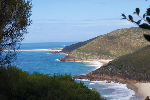 Private Port Stephens Day Trip From Sydney Including Dolphin Cruise - Phillip Island Accommodation 0