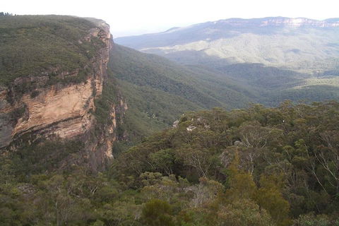 Full-Day Private Blue Mountains Tour With River Cruise - Phillip Island Accommodation 3