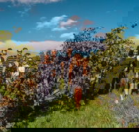 Barossa Valley Private Tour from 2 to 11 people - Phillip Island Accommodation