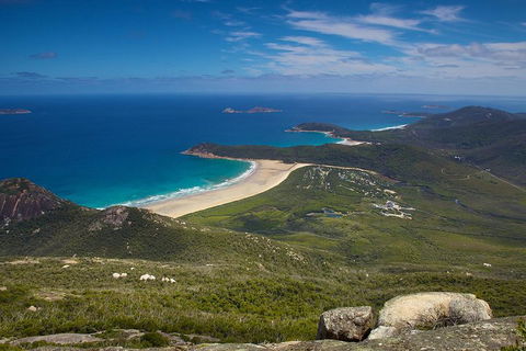 Wilson's Promontory & Phillip Island - 'Prom & Penguins' Tour - Phillip Island Accommodation 0