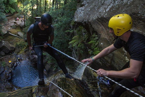 Blue Mountains Empress Canyon Adventure From Wentworth Falls - Phillip Island Accommodation 2