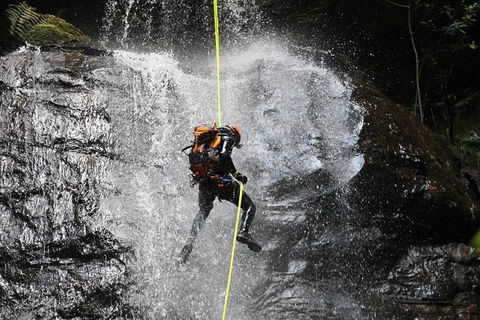 Blue Mountains Empress Canyon Adventure From Wentworth Falls - Phillip Island Accommodation 3