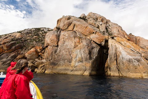 Wilsons Promontory Wilderness Cruise From Tidal River - Phillip Island Accommodation 3
