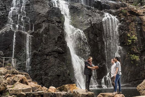 Full-Day Private Tour To Grampians From Melbourne - Phillip Island Accommodation 0