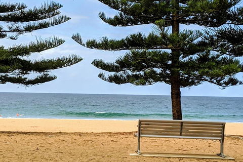 Manly & Sydney's Northern Beaches With 'Personalised Sydney Tours' - Phillip Island Accommodation 0