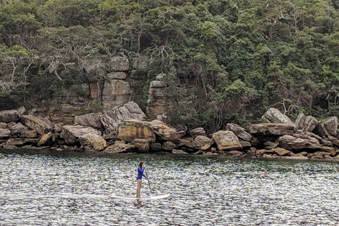 Manly & Sydney's Northern Beaches With 'Personalised Sydney Tours' - Phillip Island Accommodation 3