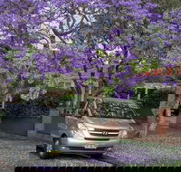 Sydney Secrets  Bondi Beach Private 4 Hr Morning with Personalised Sydney Tours