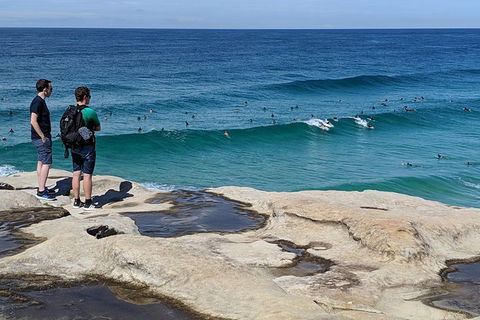 Sydney Secrets & Bondi Beach Private 4 Hr Morning With Personalised Sydney Tours - Phillip Island Accommodation 2