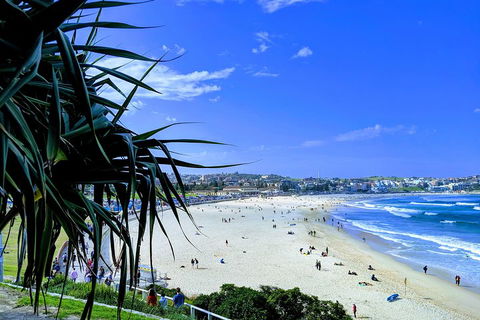 Sydney Secrets & Bondi Private 4 Hour Afternoon With 'Personalised Sydney Tours' - Phillip Island Accommodation 0