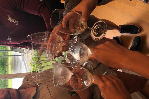 Small-Group Guided Yarra Valley Winery Tour With Wine Tasting - Phillip Island Accommodation 0