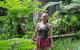 Full-Day Guided Hinterland Adventure Tour In Queensland - thumb 0