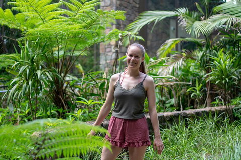 Full-Day Guided Hinterland Adventure Tour In Queensland - Phillip Island Accommodation 0