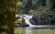 Full-Day Guided Hinterland Adventure Tour In Queensland - thumb 1
