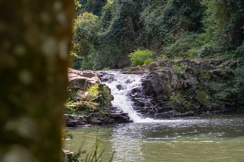 Full-Day Guided Hinterland Adventure Tour In Queensland - Phillip Island Accommodation 1