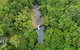 Full-Day Guided Hinterland Adventure Tour In Queensland - thumb 4