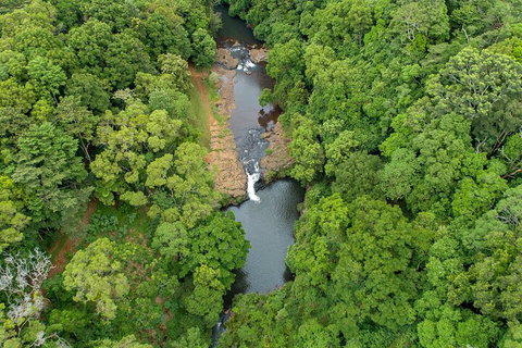 Full-Day Guided Hinterland Adventure Tour In Queensland - Phillip Island Accommodation 4