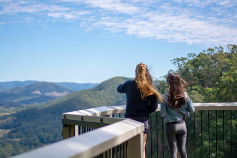 Full-Day Guided Hinterland Adventure Tour In Queensland - Phillip Island Accommodation 5