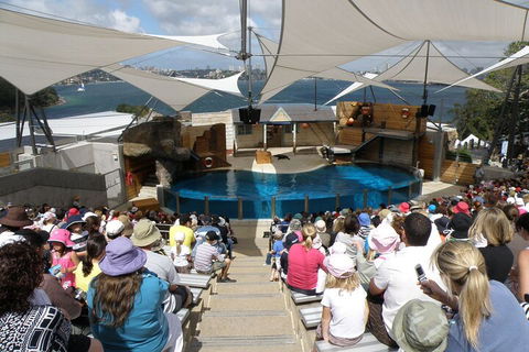 Sydney Taronga Zoo General Entry Ticket - Phillip Island Accommodation 5