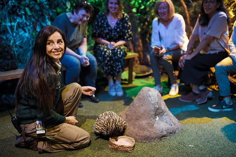Sydney Taronga Zoo's Australian Animals Tour - Phillip Island Accommodation 0