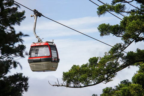 Sydney Taronga Zoo General Entry Ticket And Wild Australia Experience - Phillip Island Accommodation 2