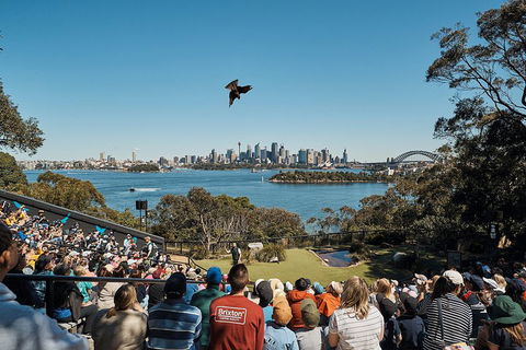 Sydney Taronga Zoo General Entry Ticket And Wild Australia Experience - Phillip Island Accommodation 5