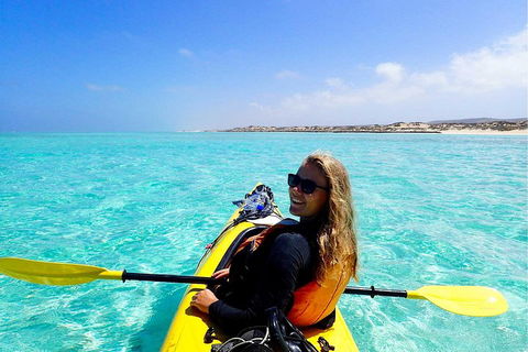 Lagoon Explorer - Ningaloo Reef Full-Day Kayaking And Snorkeling Adventure - Phillip Island Accommodation 1